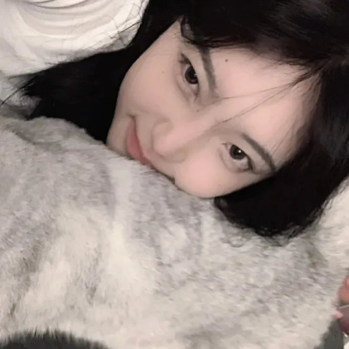 金装律师第四季